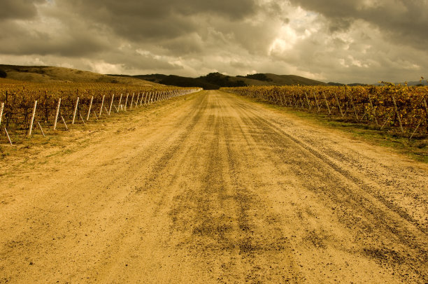 酒庄路图片下载