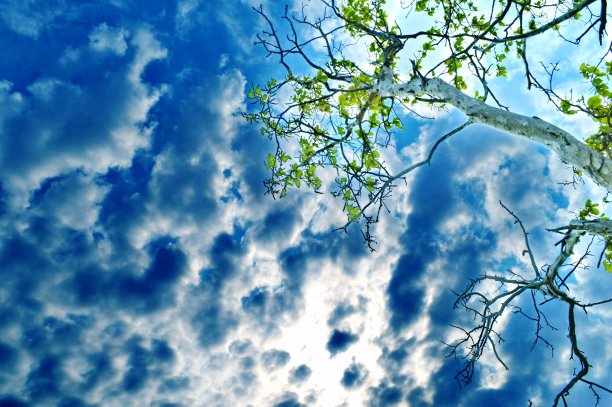 可怕的天空图片下载