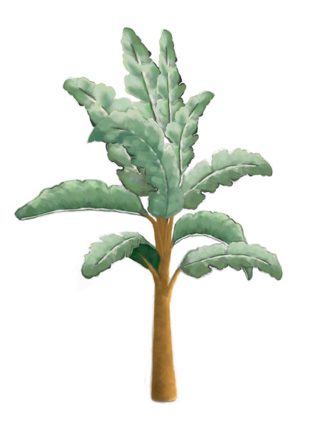 装饰树白色背景图片下载