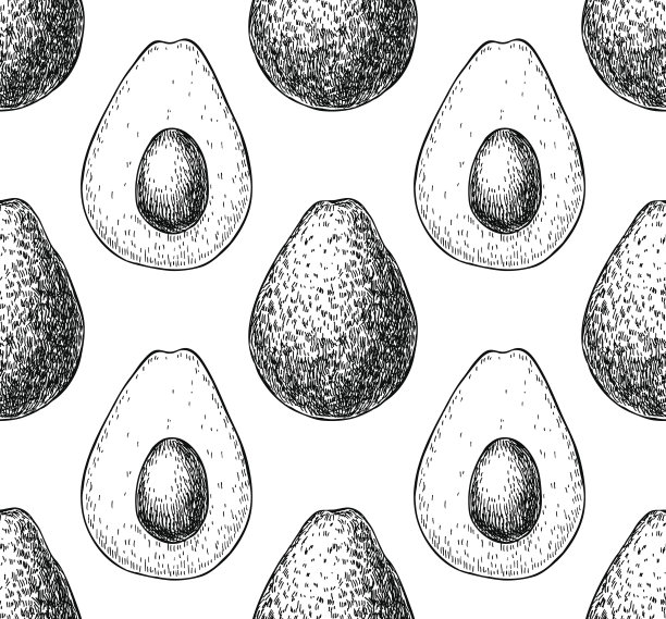矢量手绘鳄梨无缝模式。完全和平素材图片