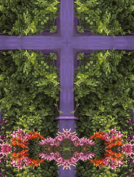 万花筒十字:紫色镶边，花图片下载