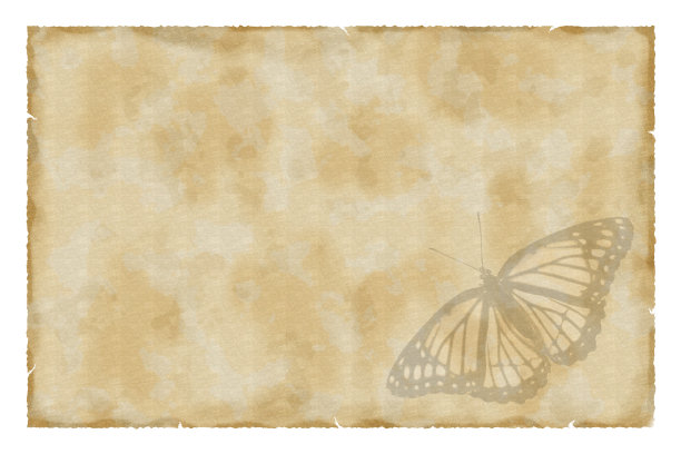 带蝴蝶的老式纸图片下载
