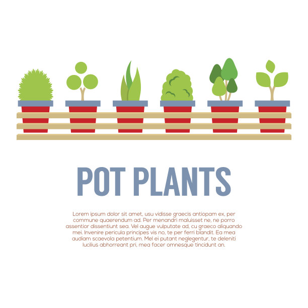 长木壶中的盆栽植物图片下载