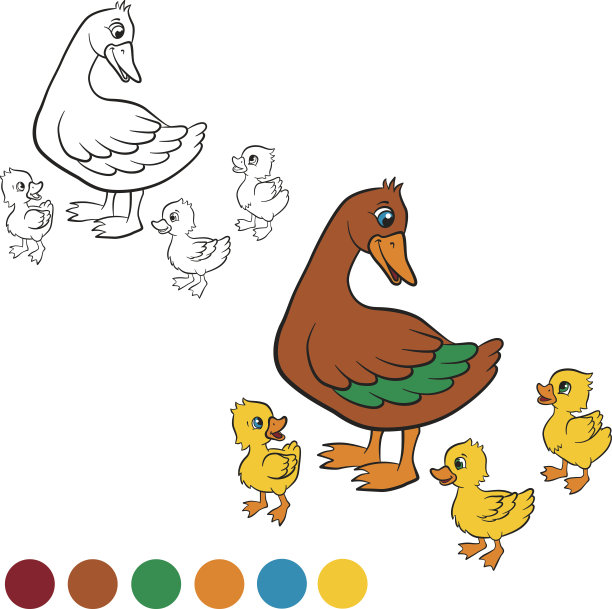 善良的鸭子和自由可爱的小鸭子散步图片下载