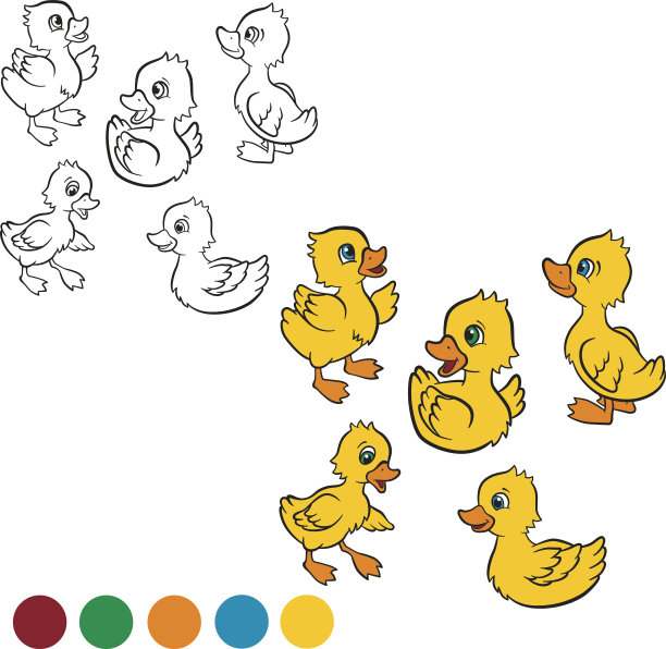 五只可爱的小鸭子游着站着。图片下载