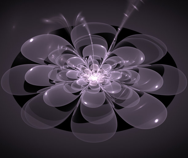 抽象分形花灰图片下载