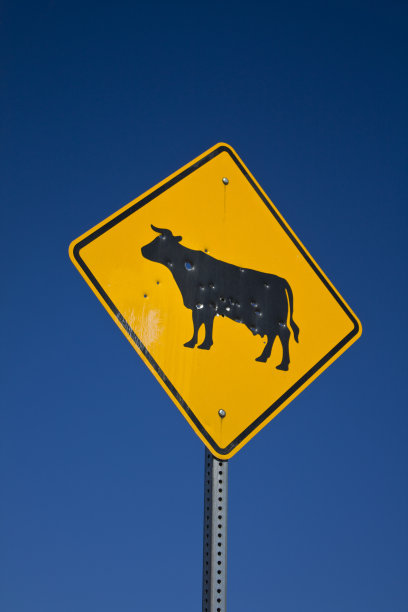 牛的标志上有弹孔图片下载