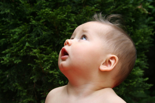 惊奇的婴儿图片下载