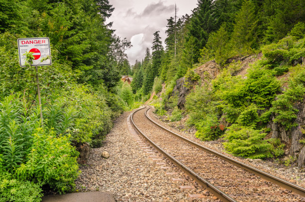 穿过森林的铁路图片下载