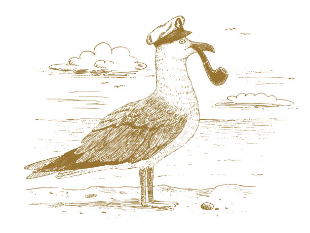 海鸥船长手绘图片下载