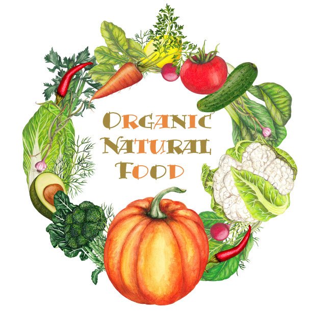 手绘蔬菜横幅图片下载