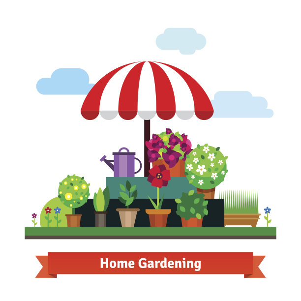 家居绿化铺有植物、花卉、草图片下载