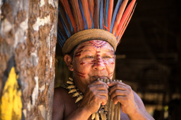 一个巴西土著老人在吹木笛图片下载