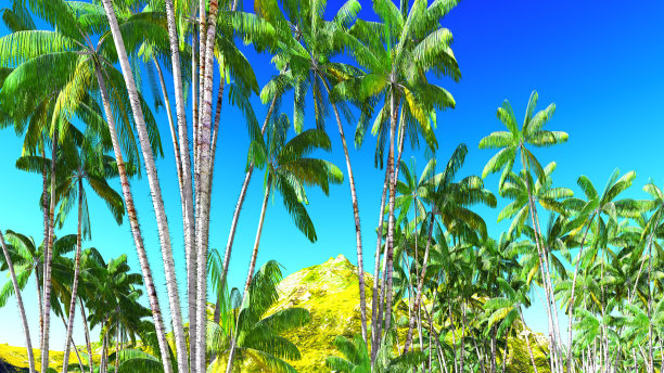 美丽的手掌图片下载