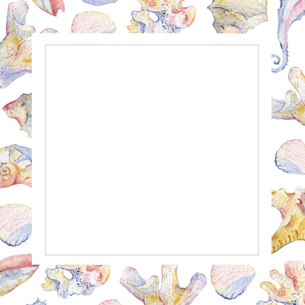 水彩贝壳一套贝壳，珊瑚和海马图片下载