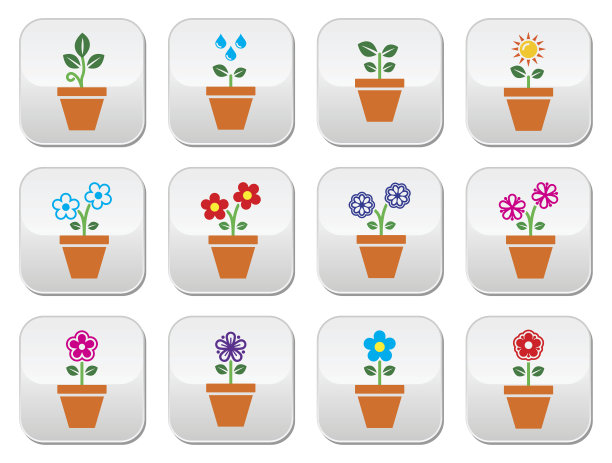 花，植物在花盆矢量彩色图标设置图片下载