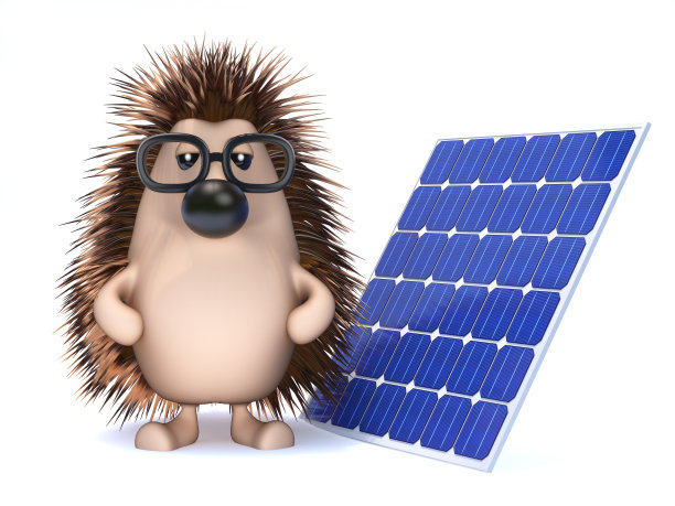 3d Hedgehog从太阳收集能量图片下载