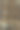 藤蔓攀附在墙上图片下载