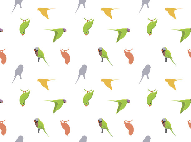 鹦鹉亚洲壁纸图片下载