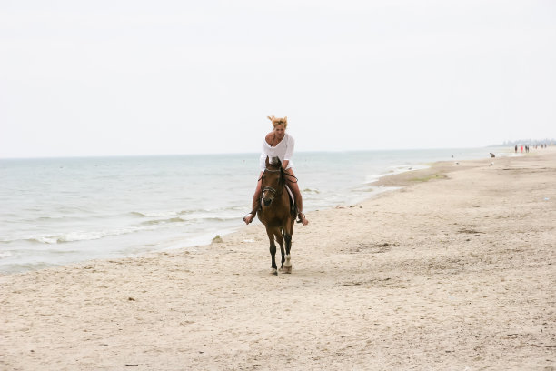 骑在马上的女孩图片下载