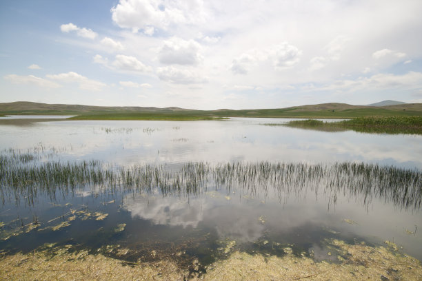 湖里的云图片下载
