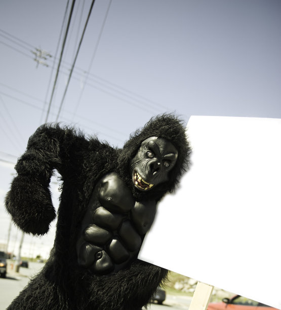 跳舞的大猩猩举着牌子图片下载