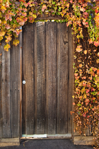 木门与秋叶图片下载