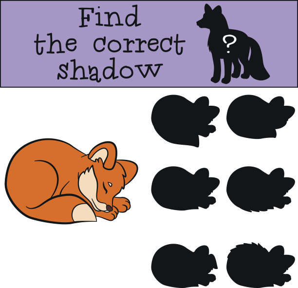 儿童游戏:找到正确的影子。可爱的小狐狸宝宝。图片下载