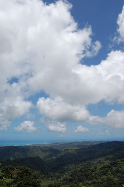 铁砧5号图片下载