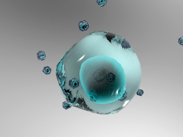 DAPI染色。荧光染色法。图片下载