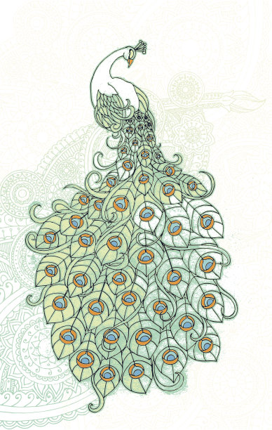 孔雀的羽毛图片下载