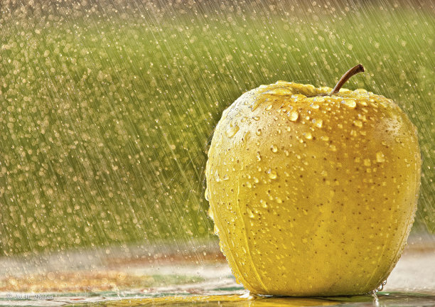 金色的雨图片下载