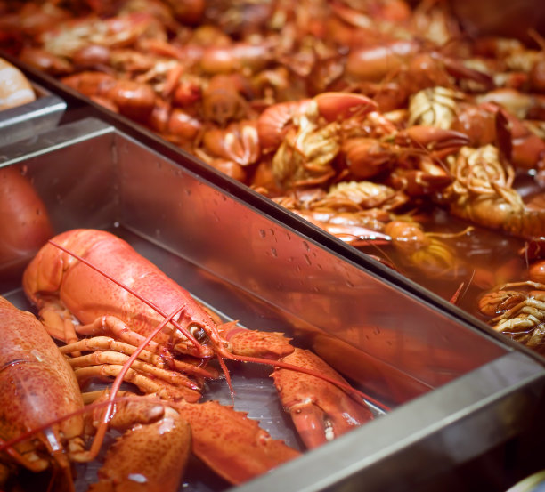 鱼市上的龙虾图片下载