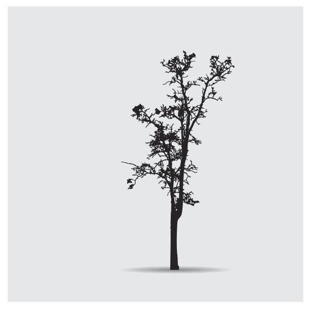 向量树的轮廓图片下载