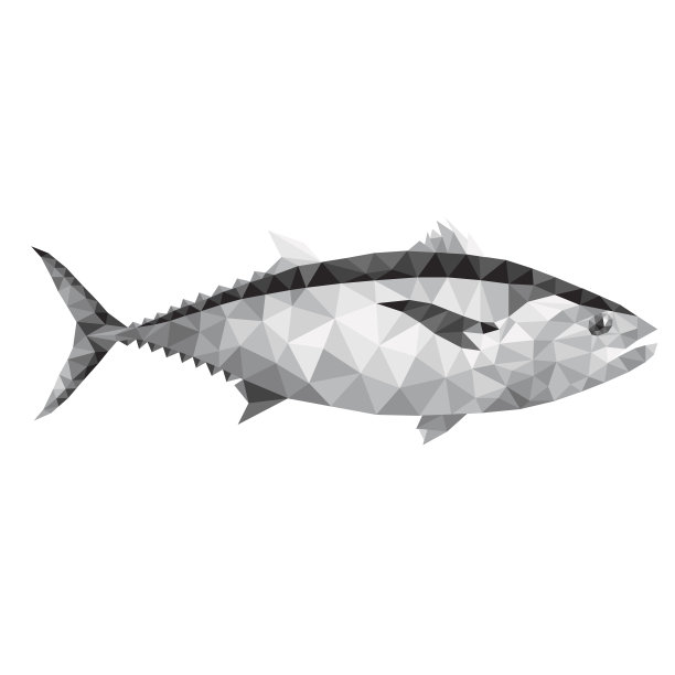 多角鱼-金枪鱼图片下载