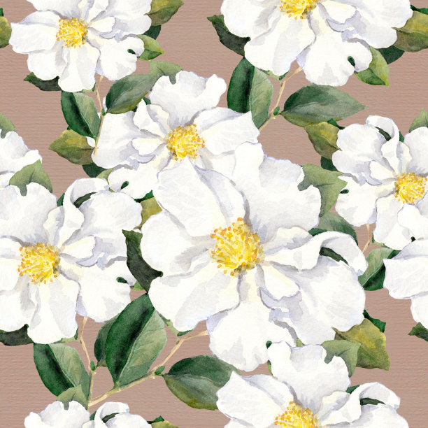 无缝花墙纸与白玉兰，牡丹。水彩画图片下载