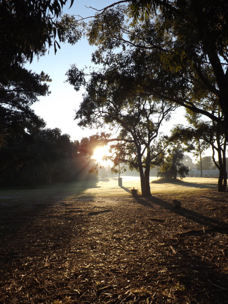 冬天的早晨图片下载