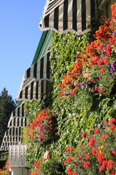 美丽的墙图片下载