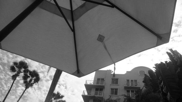 太阳伞在佛罗里达B&W图片下载