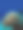 矮肩珊瑚(Acropora humilis)图片下载