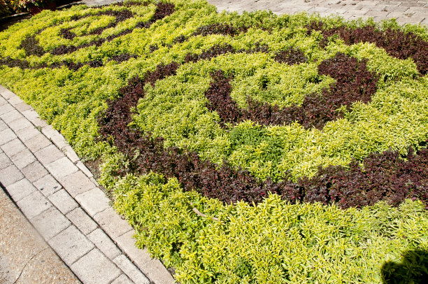 正式的花园图片下载