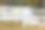 晨光中的栅栏图片下载