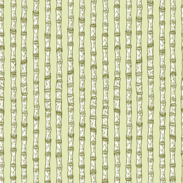 手绘竹茎或甘蔗矢量无缝模式图片下载