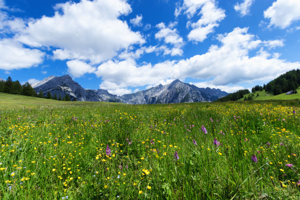 高山草甸在一个阳光明媚的日子与山峰图片下载