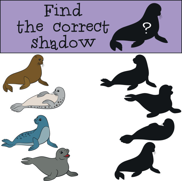 教育游戏:找到正确的影子。图片下载
