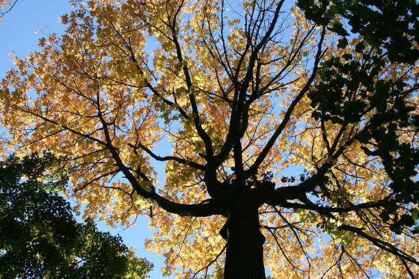 自然轮廓图片下载