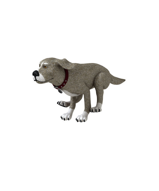 狗孤立图片下载