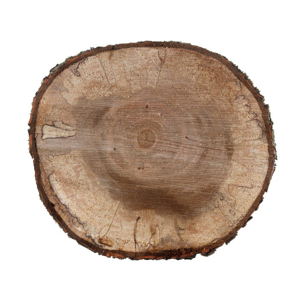 圆木孤立在白色背景上图片下载