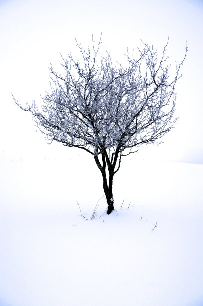 孤独的图片下载