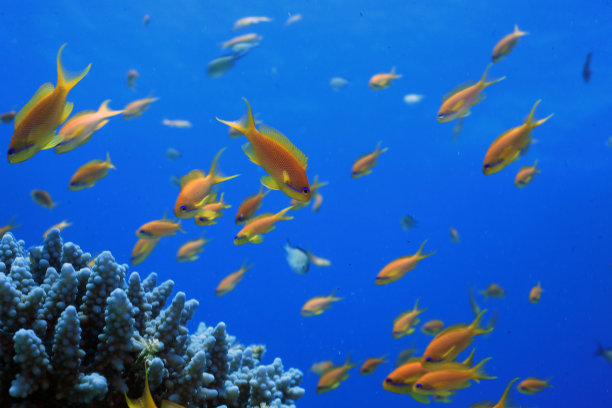 水下的场景图片下载